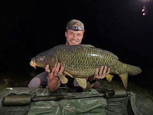 Common Carp