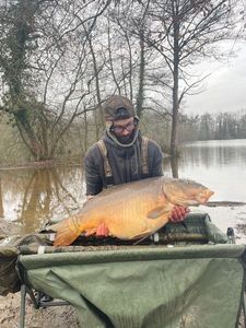 Mirror Carp