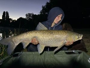 Grass Carp