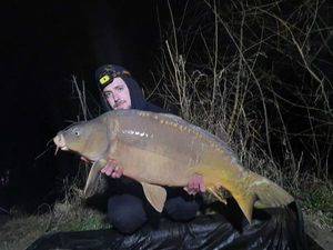 Mirror Carp