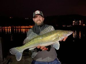 Zander