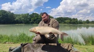 Grass Carp