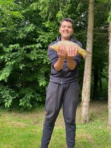 Common Carp