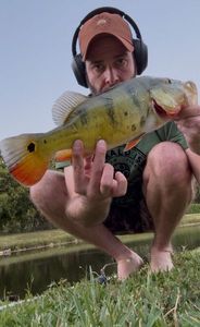 Peacock Bass ( Monoculus)