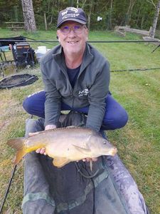 Mirror Carp
