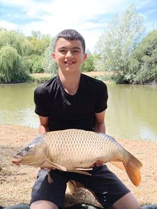 Common Carp