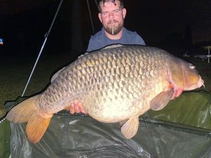 Common Carp