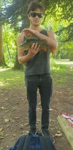 European Perch