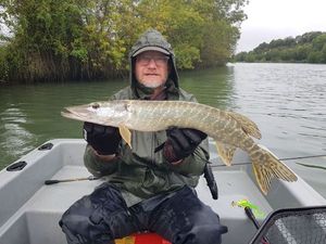 Northern Pike