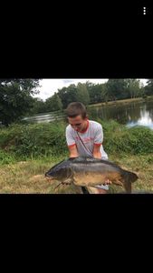 Common Carp