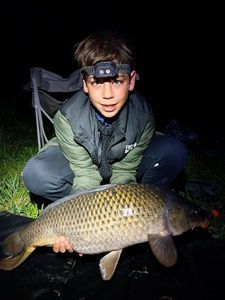 Common Carp