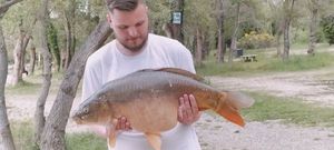 Leather Carp