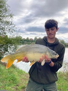 Mirror Carp