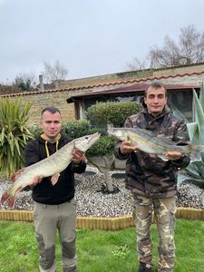 Northern Pike