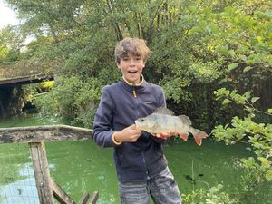 European Perch