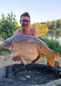 Mirror Carp