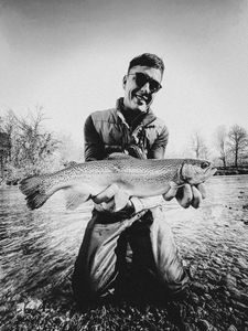 Rainbow Trout