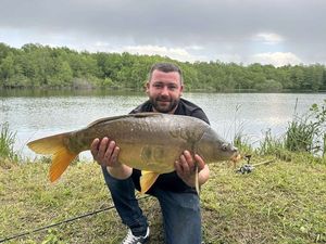Mirror Carp