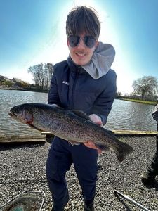 Rainbow Trout