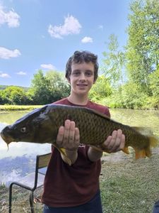 Grass Carp