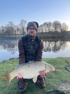 Common Carp