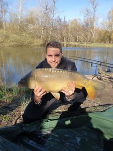 Mirror Carp