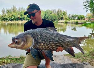 Siamese Giant Carp