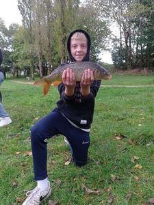 Common Carp