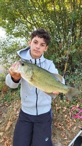 Largemouth Bass