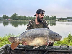 Mirror Carp