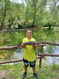 Sturgeon