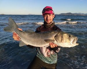 European Bass (Seabass)