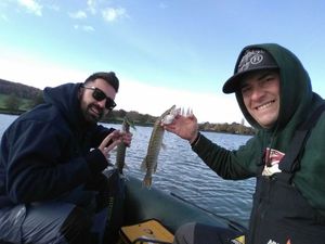 Northern Pike