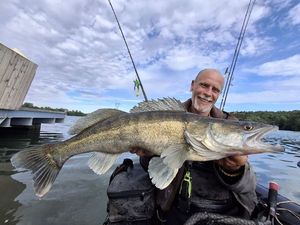 Zander