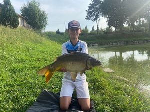 Mirror Carp