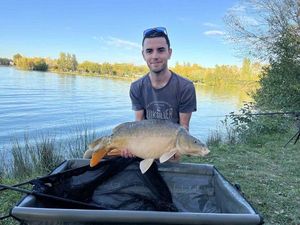 Mirror Carp