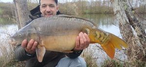 Mirror Carp
