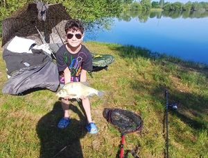 Common Bream