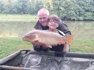 Common Carp