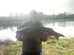 Common Carp