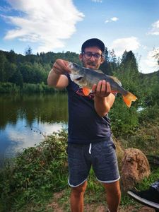 European Perch