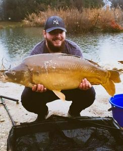 Mirror Carp