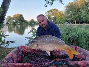 Mirror Carp