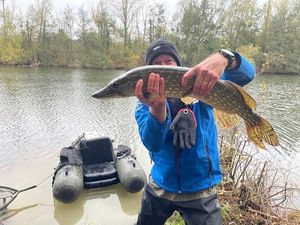 Northern Pike