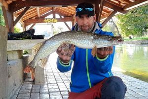 Northern Pike