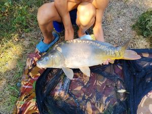 Leather Carp