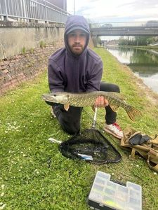 Northern Pike