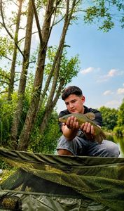 Tench