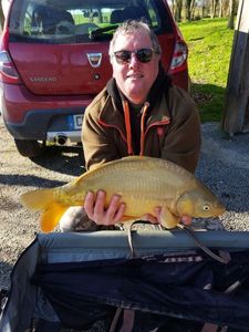 Mirror Carp