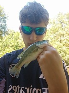 Largemouth Bass